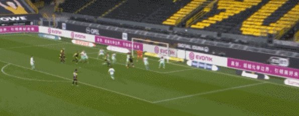 1618760261654003552.gif 1.gif